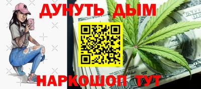 дмт Кингисепп