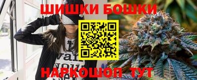 дмт Кингисепп