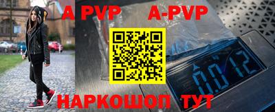 дмт Кингисепп