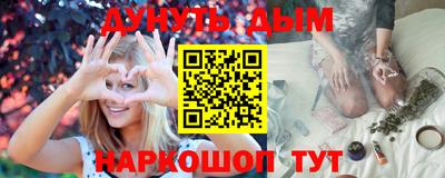 дмт Кингисепп