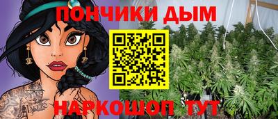 дмт Кингисепп