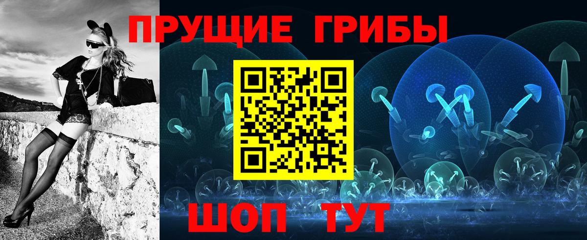 Псилоцибиновые грибы Cubensis Комсомольск-на-Амуре